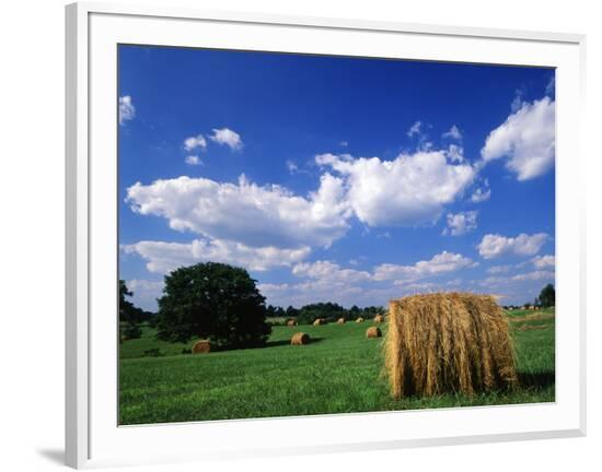 Framed Photographic Print, , large