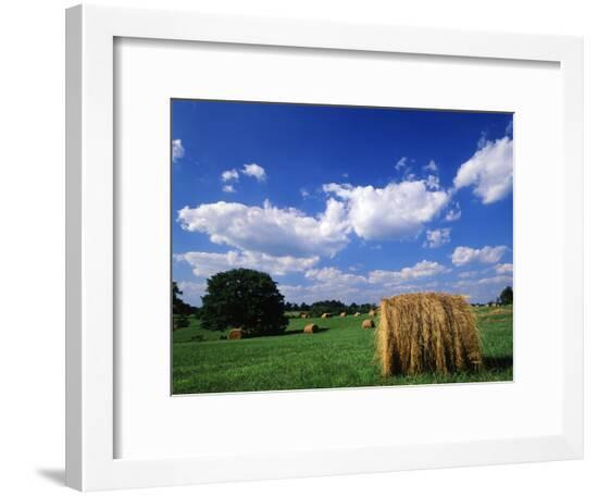Framed Photographic Print, , large