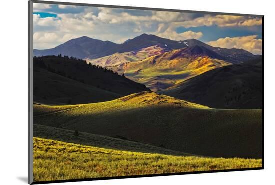 Photographic Print, , large