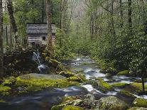 Cascading water, Fern Spring, Yosemite National Park, California-Adam Jones-Photographic Print