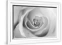 Gramercy White