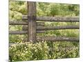 Wood Mount