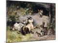 Wood Mount
