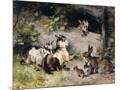 Wood Mount