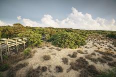 First Landing Dunes I-Adam Mead-Photographic Print