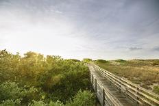 First Landing Dunes IV-Adam Mead-Photographic Print