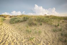 First Landing Dunes II-Adam Mead-Photographic Print