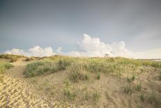 First Landing Dunes III-Adam Mead-Photographic Print