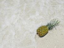 First Landing Dunes III-Adam Mead-Photographic Print