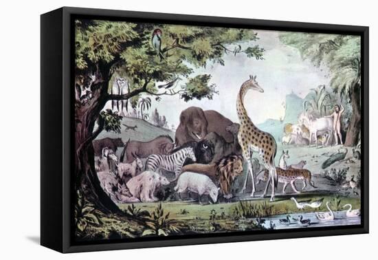 Adam Naming the Creatures, 1847-Nathaniel Currier-Framed Stretched Canvas