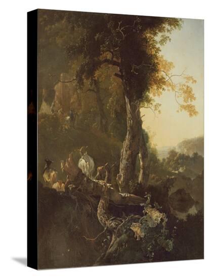Stretched Canvas Print, , large
