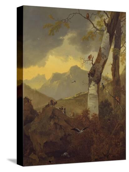Stretched Canvas Print, , large