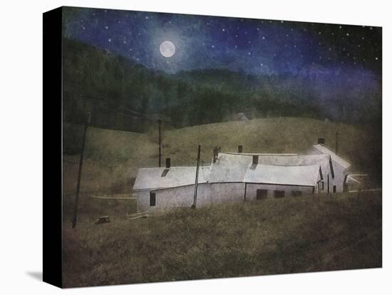 Adam's Farm-Dawne Polis-Stretched Canvas