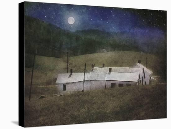 Adam's Farm-Dawne Polis-Stretched Canvas