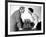 Adam's Rib, Spencer Tracy, Katharine Hepburn, 1949-null-Framed Photo