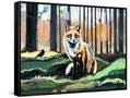 Canvas Black