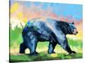 Stretched Canvas