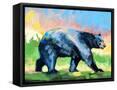 Canvas Black