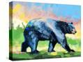 Stretched Canvas