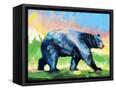 Canvas Black