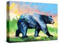 Stretched Canvas