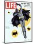 Adam West as Superhero Batman, March 11, 1966-Yale Joel-Mounted Premium Photographic Print