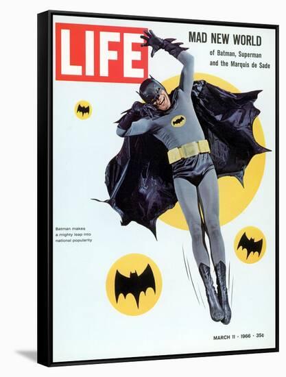 Adam West as Superhero Batman, March 11, 1966-Yale Joel-Framed Stretched Canvas