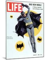 Adam West as Superhero Batman, March 11, 1966-Yale Joel-Mounted Photographic Print