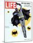 Adam West as Superhero Batman, March 11, 1966-Yale Joel-Mounted Premium Photographic Print