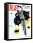 Adam West as Superhero Batman, March 11, 1966-Yale Joel-Framed Stretched Canvas