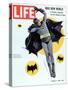 Adam West as Superhero Batman, March 11, 1966-Yale Joel-Stretched Canvas