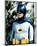 Adam West - Batman-null-Mounted Photo