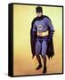 Adam West-null-Framed Stretched Canvas