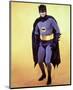 Adam West-null-Mounted Photo