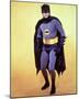 Adam West-null-Mounted Photo