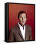 Adam West-null-Framed Stretched Canvas