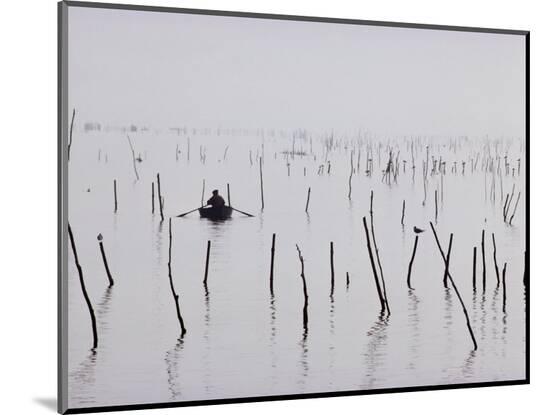 Photographic Print, , large
