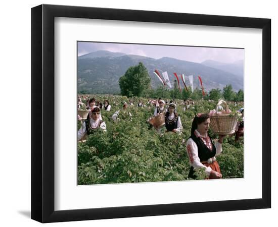 Premium Photographic Print, , large