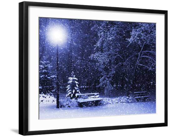 Premium Photographic Print, , large