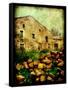 Adam-Cristina Carra Caso-Framed Stretched Canvas