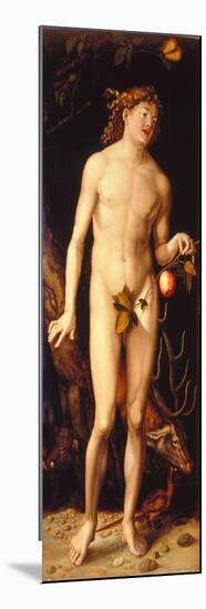 Adam-Hans Baldung-Mounted Premium Giclee Print