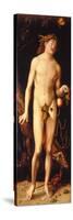 Adam-Hans Baldung-Stretched Canvas