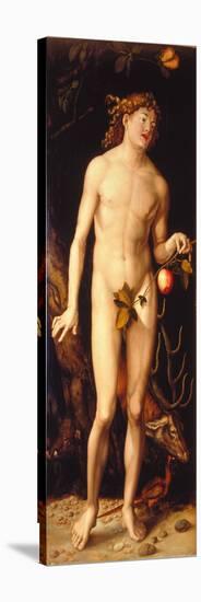 Adam-Hans Baldung-Stretched Canvas