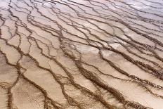 Texture of Algae near Grand Prismatic Hot Spring Pool in Yellowstone National Park-AdamLongSculpture-Mounted Photographic Print