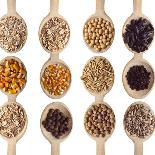 Different Type Of Seeds On Wooden Spoon-adamr-Mounted Art Print