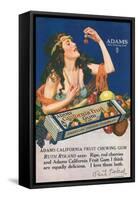 Adams California Fruit Gum, Chewing Gum Sweets, USA, 1910-null-Framed Stretched Canvas