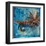 Adams Parachute Fly-Jodi Monahan-Framed Art Print