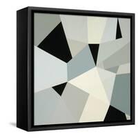 Adapt II-Randy Hibberd-Framed Stretched Canvas