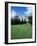 Adare, Ireland-null-Framed Premium Photographic Print