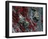 Adare, Ireland-null-Framed Photographic Print